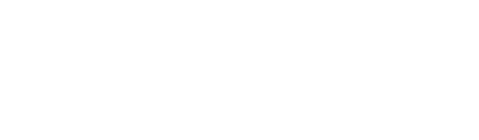 Steadpast Partners