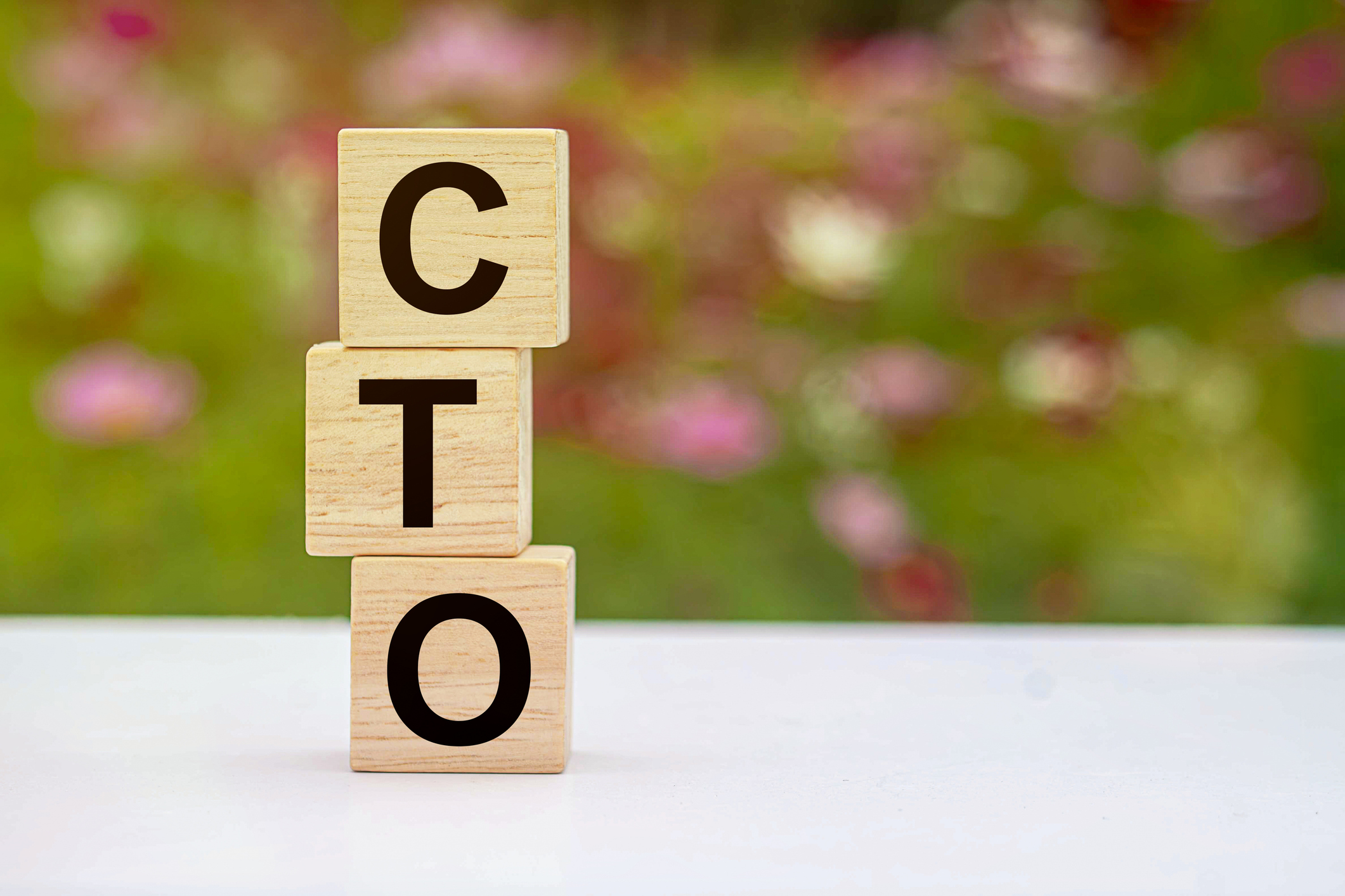 How a Fractional vCTO Bridges the Gap Between Technology Vision and ...